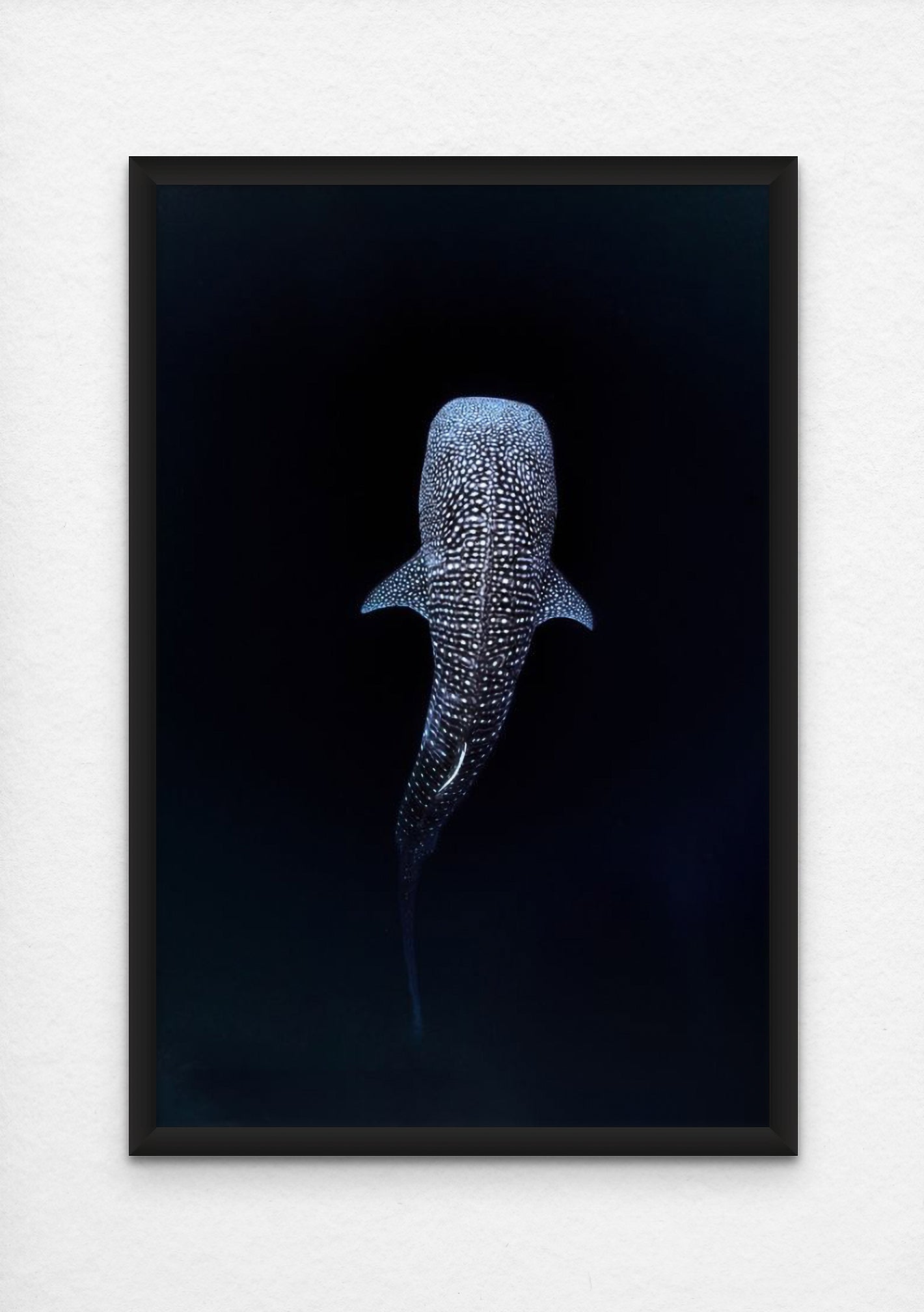 Majestic Creature of the Deep blue sea