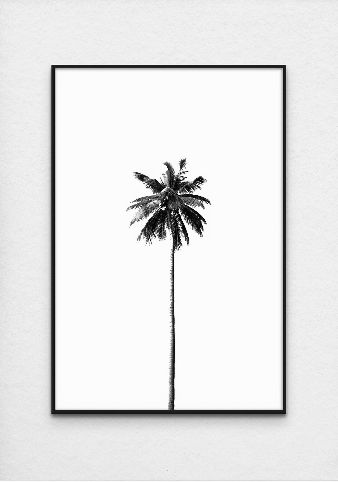 One Palm